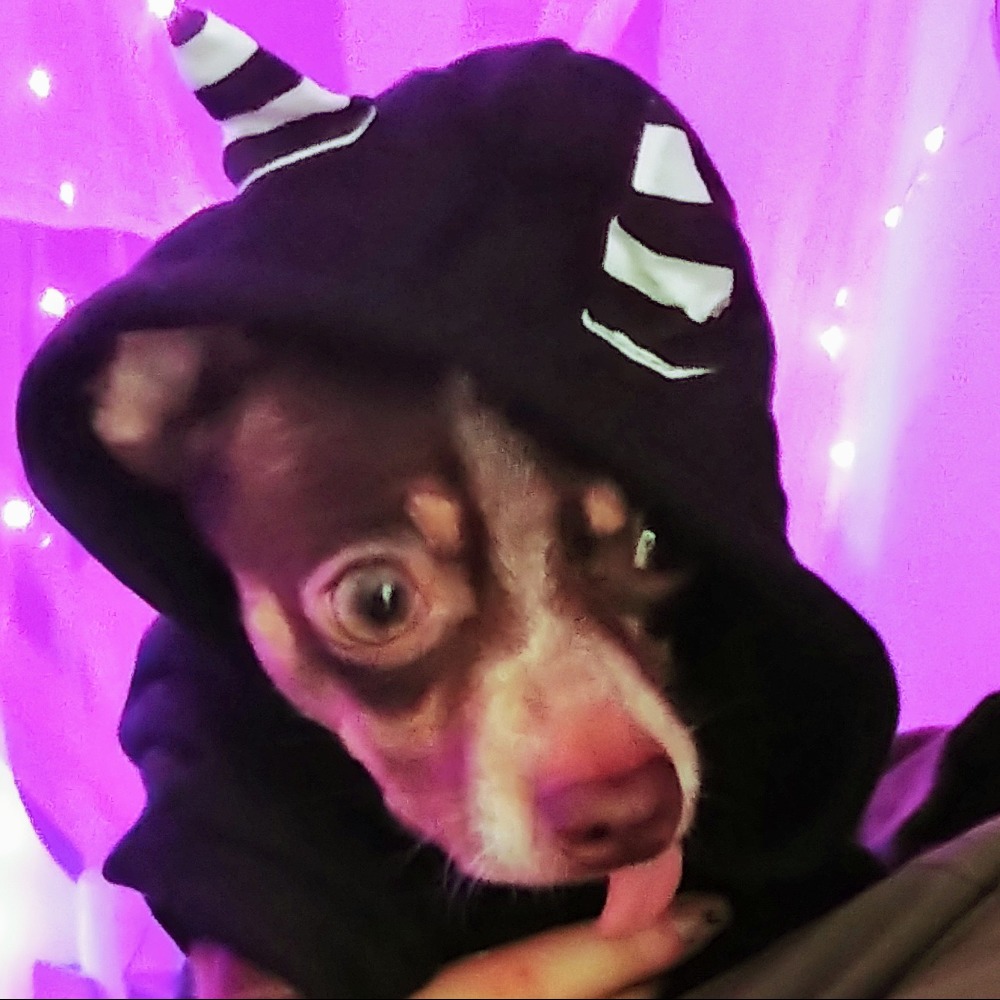 Meet your Posher, Wren